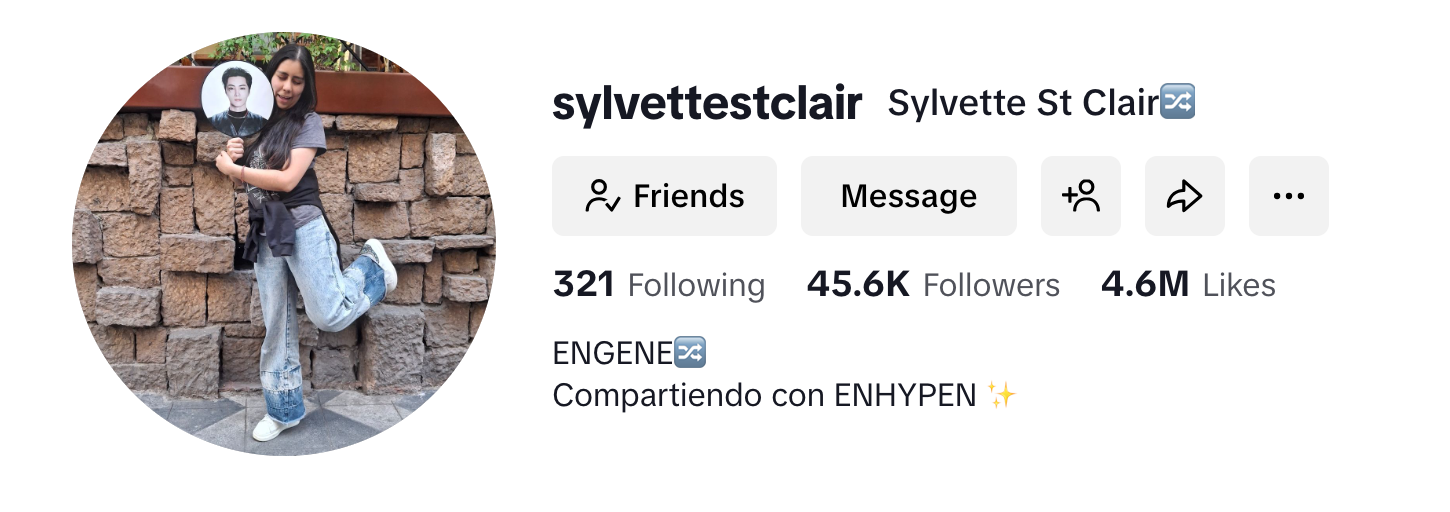 Hablamos de Enhypen con Sylvette. 엔하이픈에 대해 실베트랑 얘기했어.